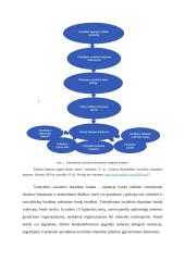 Valstybinis socialinis draudimas, jo rūšys, įmokų mokėjimo ypatumai  7 puslapis