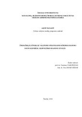 Žmogiškųjų išteklių valdymo strategijos kūrimas rajono savivaldybėse: Radviliškio rajono atvejis