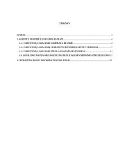 UAB "Vipseta" klientų lojalumo formavimas