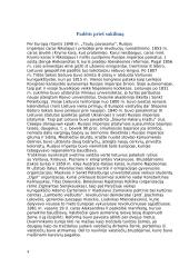 1863 metų sukilimas referatas 4 puslapis