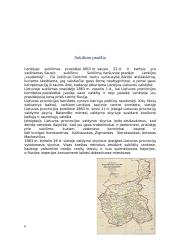 1863 metų sukilimas referatas 6 puslapis