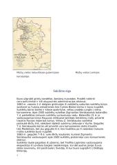 1863 metų sukilimas referatas 7 puslapis