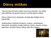 “Dievų miškas” Balys Sruoga 3 puslapis