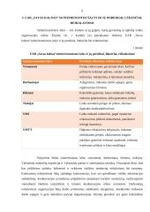 Kokybės vadybos esamos padėties tyrimas UAB „Savas kalnas“ 6 puslapis