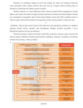 Nikotinas referatas 6 puslapis