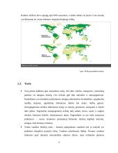 Pasaulio globalinės problemos 4 puslapis