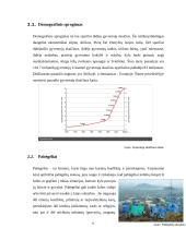 Pasaulio globalinės problemos 6 puslapis