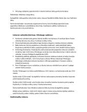 Viduramžių Lietuva konspektas 2 puslapis