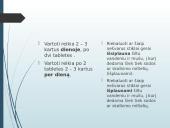 Kalbos kultūros klaidos (pristatymas) 2 puslapis