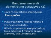 Vokietija tarpukariu (Veimaro Respublika ir Trečiasis Reichas) 20 puslapis