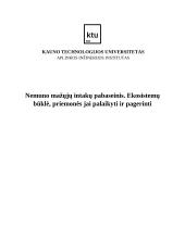 Nemuno mažųjų intakų pabaseinis. Ekosistemų būklė, priemonės jai palaikyti ir pagerinti