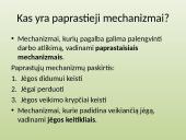 Skyriaus „Paprastieji mechanizmai“ apibendrinimas 3 puslapis