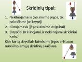 Skyriaus „Paprastieji mechanizmai“ apibendrinimas 10 puslapis