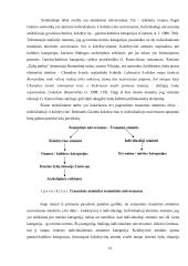 Trauminė atmintis Lietuvos žydų romanuose (Grigorijus Kanovičius, Icchokas Meras, Markas Zingeris)  13 puslapis