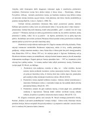Trauminė atmintis Lietuvos žydų romanuose (Grigorijus Kanovičius, Icchokas Meras, Markas Zingeris)  20 puslapis