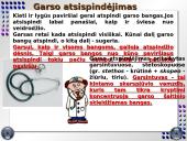 Garso sklidimo ypatybės 2 puslapis