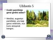 Garso sklidimo ypatybės 12 puslapis