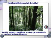 Garso sklidimo ypatybės 5 puslapis