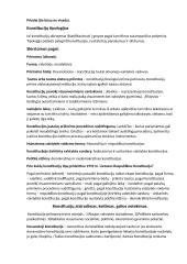 Konstitucinė teisė konspektas 2 puslapis