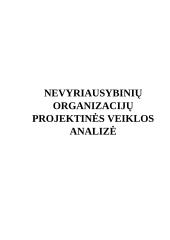 Nevyriausybinių organizacijų projektinės veiklos analizė
