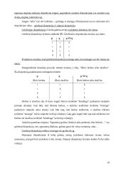 Loginės minties struktūra bei formalizavimas 19 puslapis