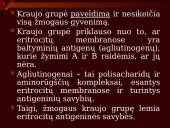 Kraujo grupės 4 puslapis