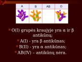 Kraujo grupės 8 puslapis