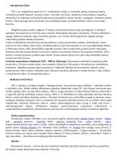 Romantizmo kultūros bruožai 2 puslapis