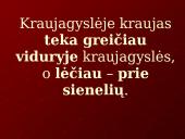 Kraujo tekėjimas kraujagyslėmis 3 puslapis