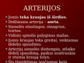Kraujo tekėjimas kraujagyslėmis 4 puslapis