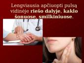 Kraujo tekėjimas kraujagyslėmis 6 puslapis