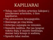 Kraujo tekėjimas kraujagyslėmis 7 puslapis