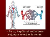 Kraujo tekėjimas kraujagyslėmis 8 puslapis