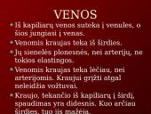 Kraujo tekėjimas kraujagyslėmis 9 puslapis