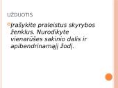 Aiškinamosios sakinio dalys 12 puslapis