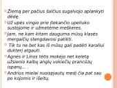 Aiškinamosios sakinio dalys 13 puslapis
