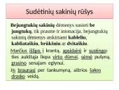 Sakinys 11 puslapis