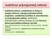 Sakinys 12 puslapis