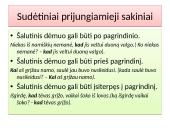 Sakinys 13 puslapis