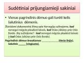 Sakinys 14 puslapis