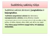 Sakinys 9 puslapis
