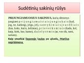 Sakinys 10 puslapis