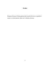 Dzeuso ir Perkūno palyginimas 11 puslapis