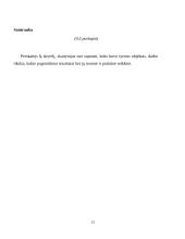 Dzeuso ir Perkūno palyginimas 13 puslapis