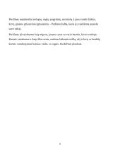 Dzeuso ir Perkūno palyginimas 9 puslapis