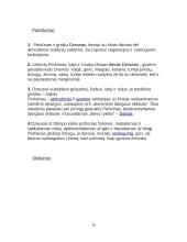 Dzeuso ir Perkūno palyginimas 10 puslapis