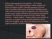 Odos bėrimai paauglystėje 6 puslapis