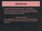 Odos bėrimai paauglystėje 8 puslapis