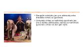 Gyvūnų išnaudojimas cirke 5 puslapis