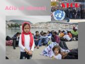 Pabėgėliai - pasaulio problema 14 puslapis